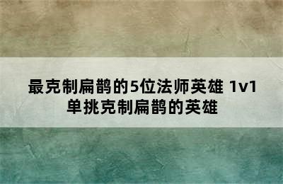 最克制扁鹊的5位法师英雄 1v1单挑克制扁鹊的英雄